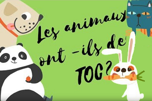 Lire la suite à propos de l’article Les animaux ont-ils des TOC ?  (Texte et vidéo)